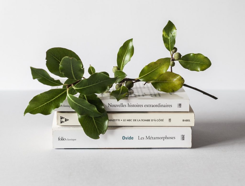 alex loup 2zDw14yCYqk unsplash