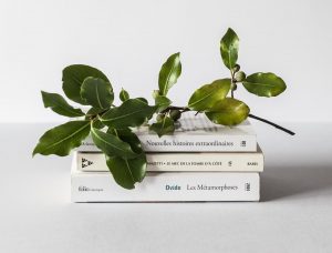 alex loup 2zDw14yCYqk unsplash